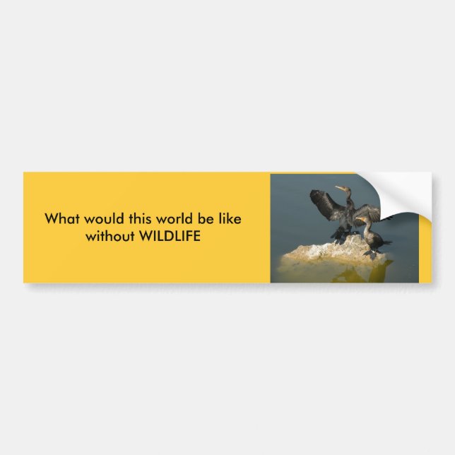 Wildlife Bumper Sticker (Front)