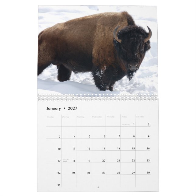 Wildlife Calendar (Jan 2027)