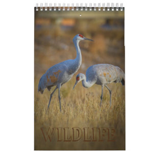 Wildlife Calendar
