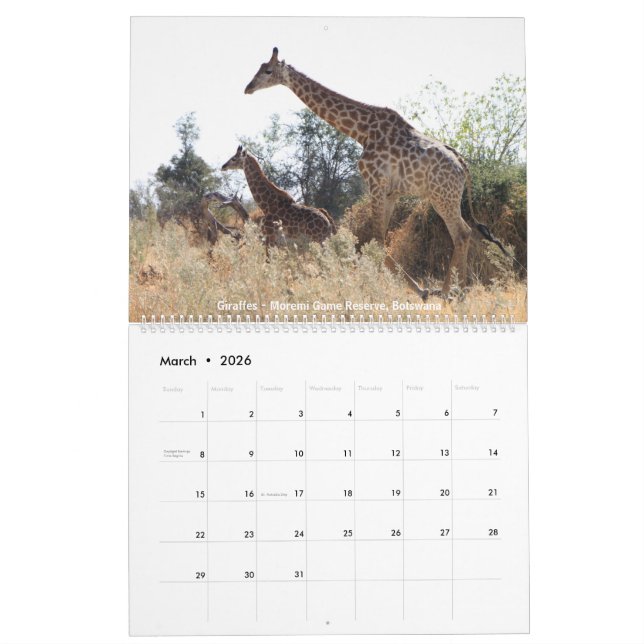 Wildlife Calendar (Mar 2026)