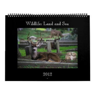 wildlife Calendar - 2012