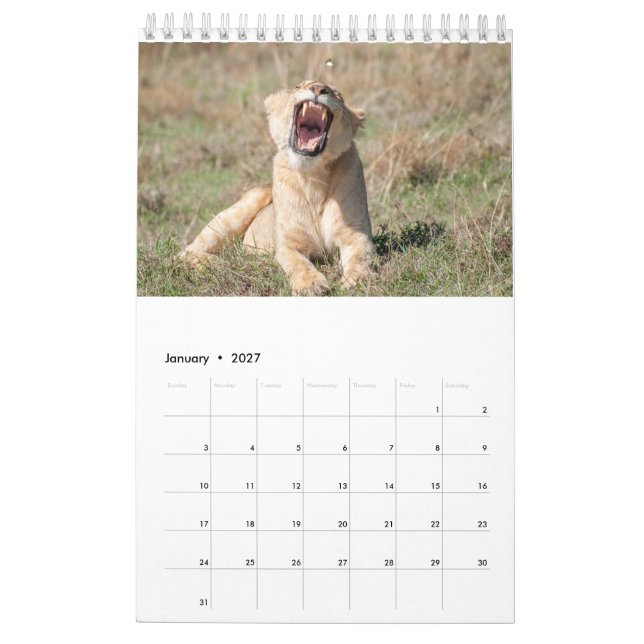 Wildlife Calendar 2021 (Jan 2027)
