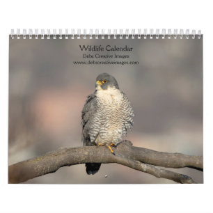 Wildlife Calendar 2026