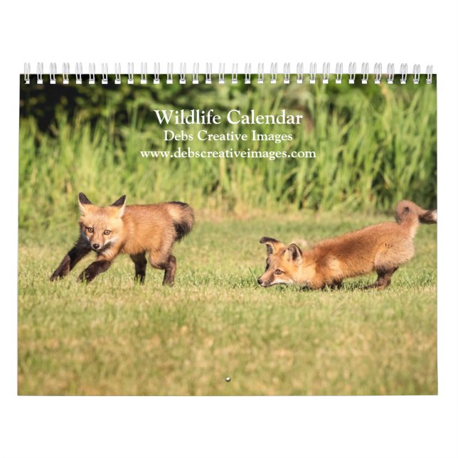 Wildlife Calendar 2026 (Cover)
