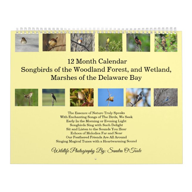 Wildlife Calendar, Songbirds, Wild Birds  Calendar (Cover)