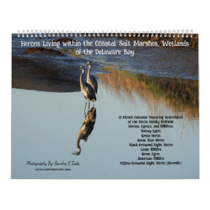 Wildlife Calendar, Waterbirds, Herons Calendar