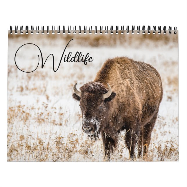 Wildlife Calendar with Captions (Cover)