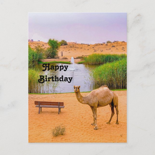 Wildlife Camel Oasis Photo Birthday Postcard (Front)