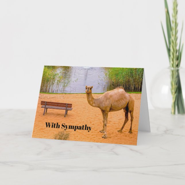 Wildlife Camel Oasis Photo Sympathy Card (Front)