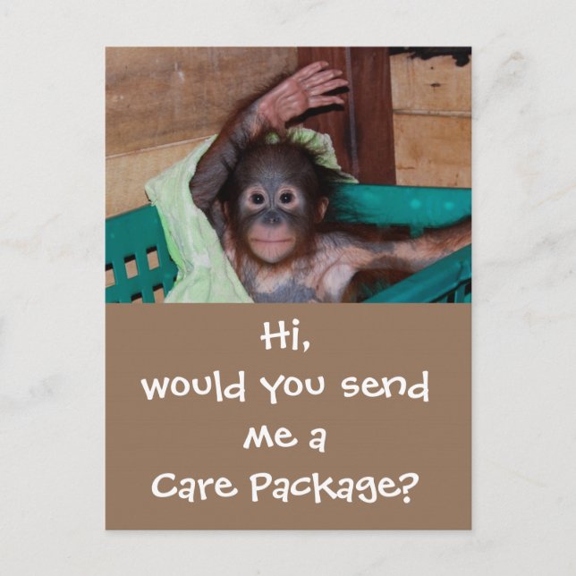 Wildlife Care Package Postcard (Front)