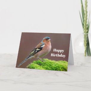 Wildlife Chaffinch Photo Birthday Card
