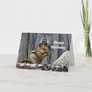 Wildlife Chipmunk Animal Photo Birthday Card