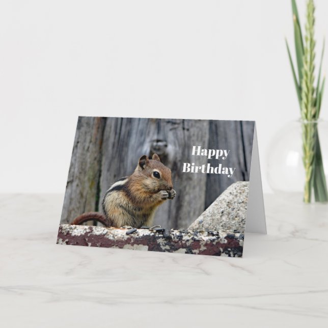 Wildlife Chipmunk Animal Photo Birthday Card (Front)