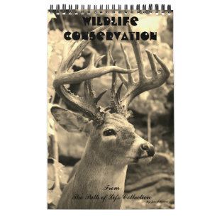 Wildlife Conservation Calendar