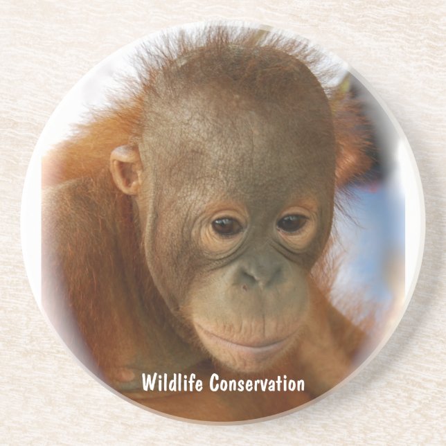 Wildlife Conservation Coaster (Front)