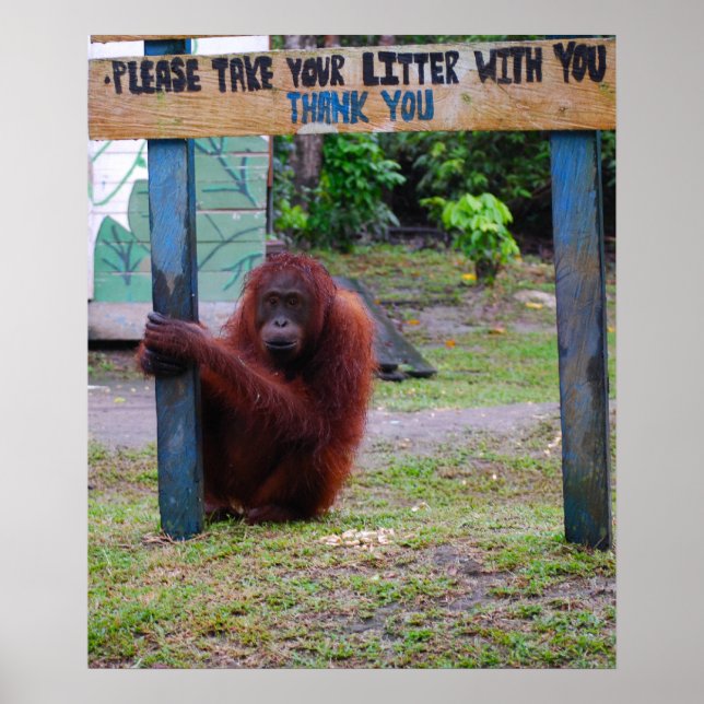 Wildlife Conservation v Litter and Trash Poster (Front)