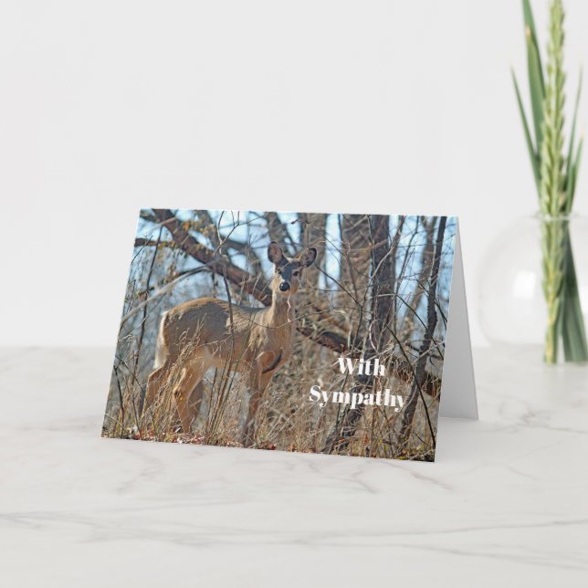 Wildlife Deer Woods Photo Sympathy Card (Front)