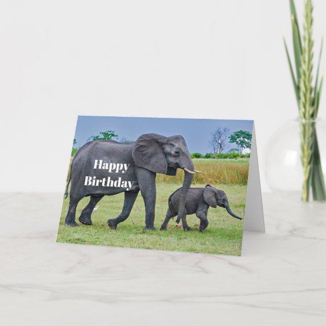 Wildlife Elephant Calf Photo Birthday Card (Front)