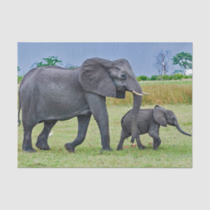 Wildlife Elephant Calf Photo Tissue Paper
