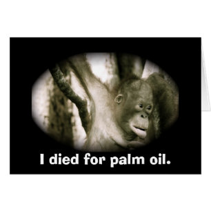 Wildlife Extinction Southeast Asia Palm Oil