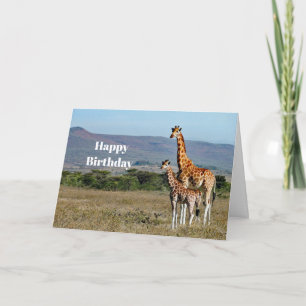 Wildlife Giraffe Mother and Baby Photo Birthday Card