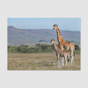 Wildlife Giraffe Mother and Baby Photo Tissue Paper