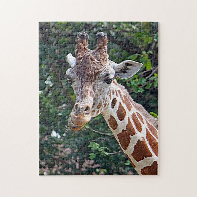 Wildlife Giraffe Photo Jigsaw Puzzle (Vertical)