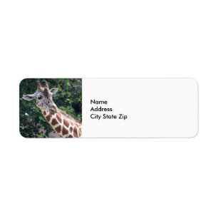 Wildlife Giraffe Portrait Photo Return Address Label