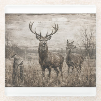 Wildlife Glass Coaster