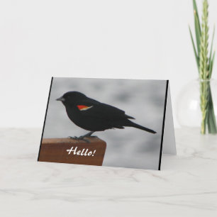 Wildlife Greeting Card
