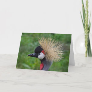 Wildlife greetings card, blank inside. card