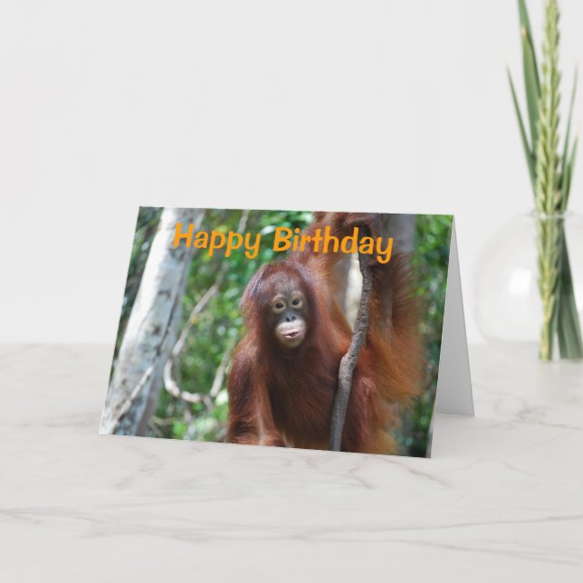 Wildlife Happy Birthday Card (Front)