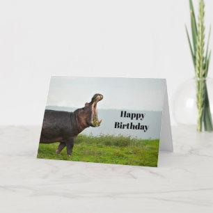 Wildlife Hippopotamus Photo Birthday Card