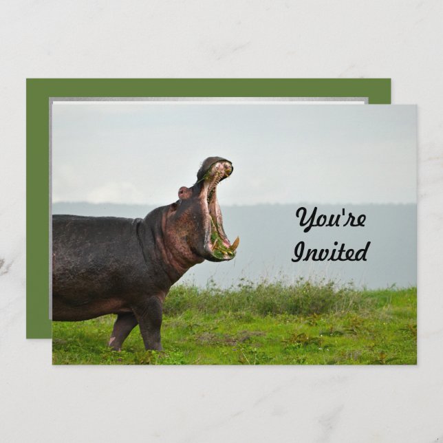 Wildlife Hippopotamus Photo Birthday Invitation (Front/Back)