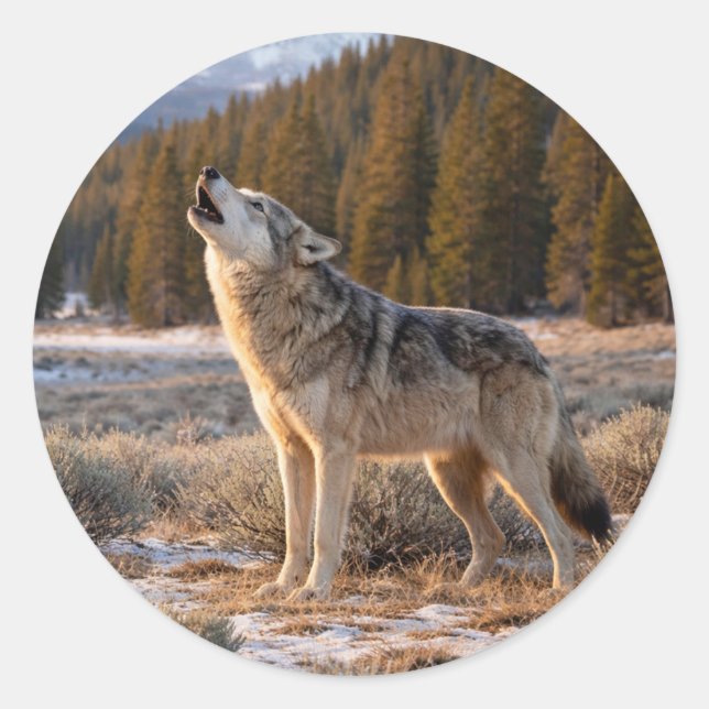Wildlife Howling Grey Wolf Wilderness Scene Classic Round Sticker (Front)