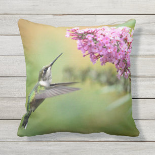 Wildlife Hummingbird Floral Photo Outdoor Cushion
