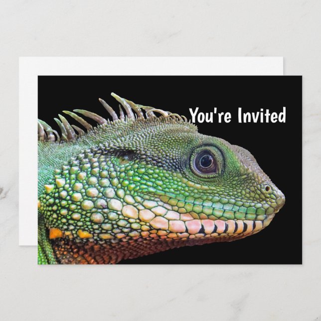 Wildlife Iguana Photo Birthday Invitation (Front/Back)