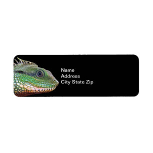 Wildlife Iguana Photo Return Address Label