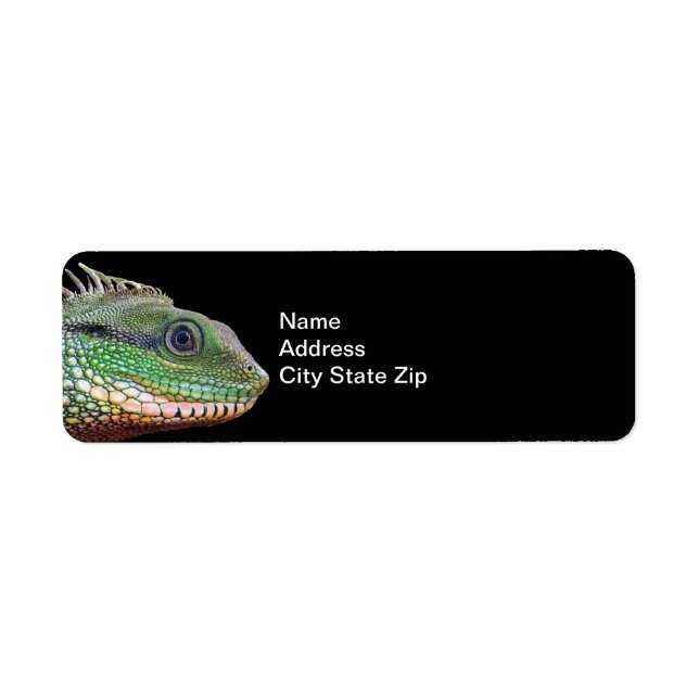 Wildlife Iguana Photo Return Address Label (Front)
