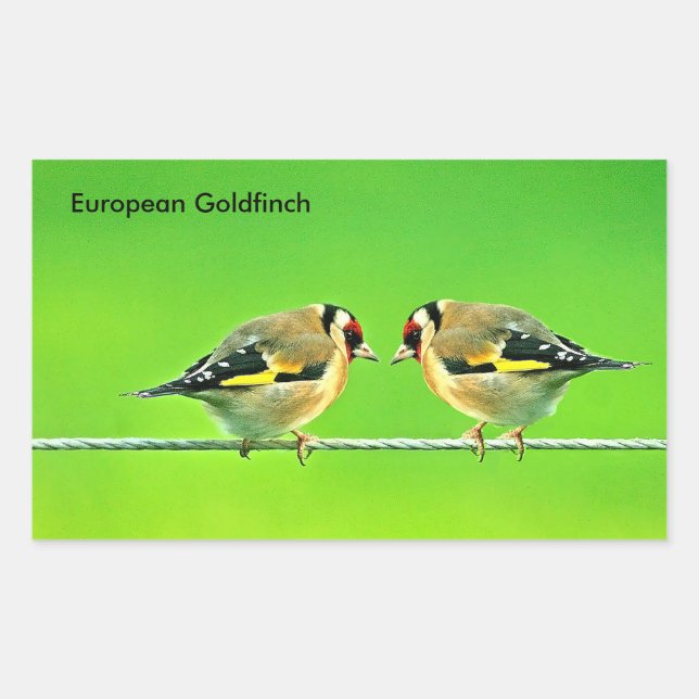 Wildlife images for Rectangle-Stickers Rectangular Sticker (Front)