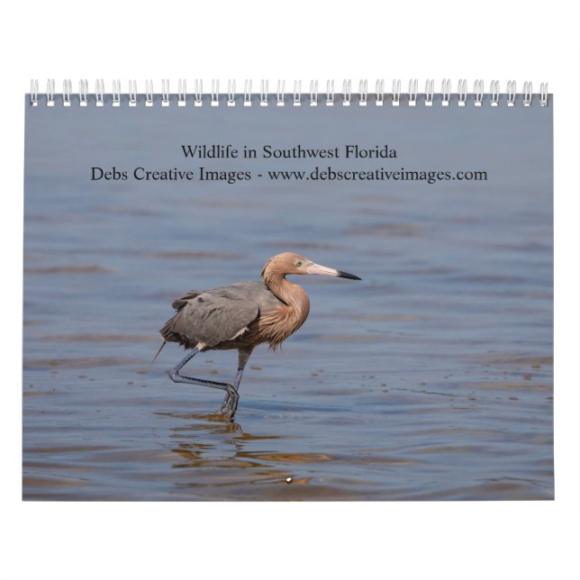 Wildlife in Southwest Florida 2026 Calendar (Cover)