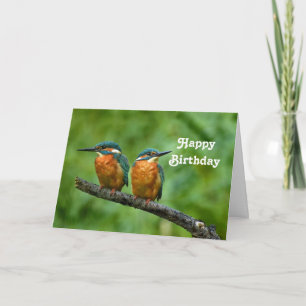 Wildlife Kingfisher Photo Birthday Card