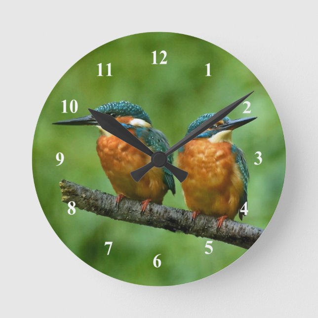Wildlife Kingfisher Photo Round Clock (Front)