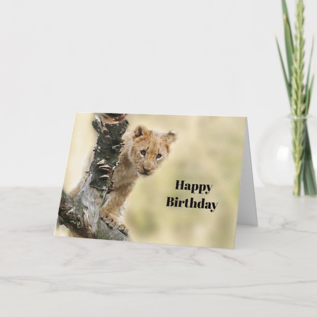 Wildlife Lion Cub Photo Birthday Card (Front)
