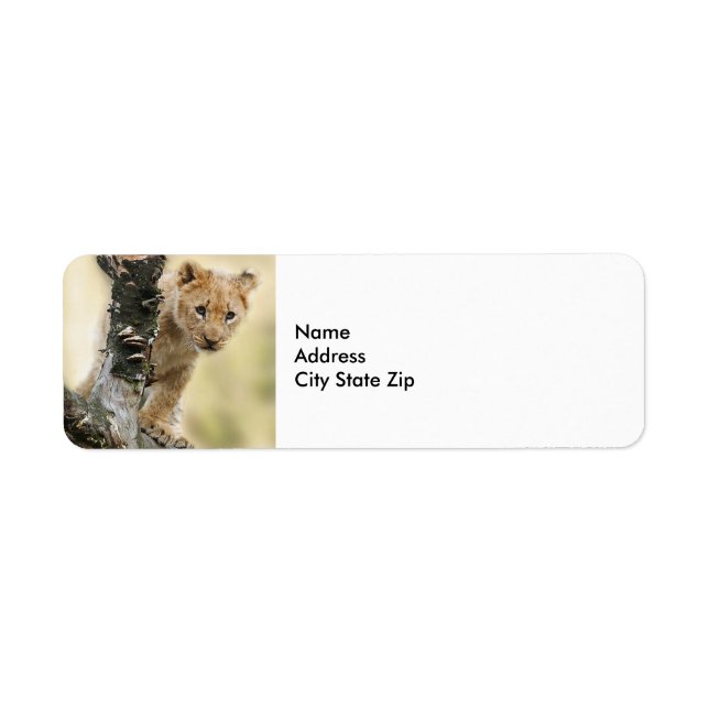 Wildlife Lion Cub Photo Return Address Label (Front)