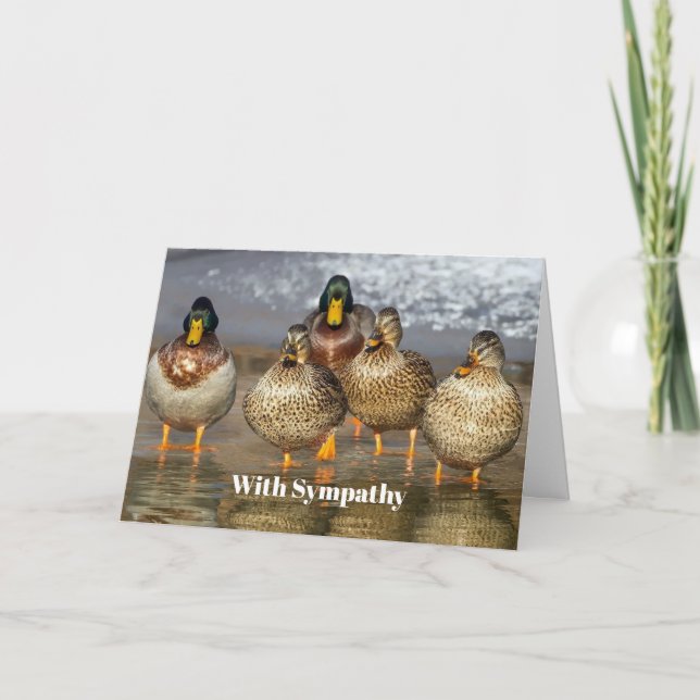 Wildlife Mallard Ducks Photo Sympathy Card (Front)