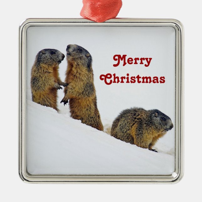Wildlife Marmots Snow Photo Christmas Metal Ornament (Front)