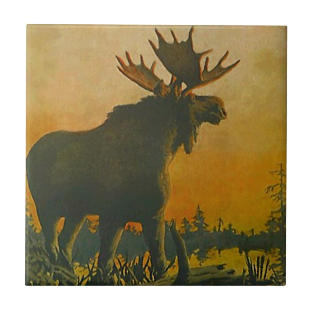 Wildlife Moose In Lowland Marsh Swamp Donkey Tile (Front)