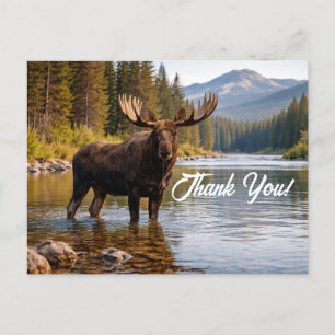 Wildlife Moose Wilderness River Thank You Postcard
