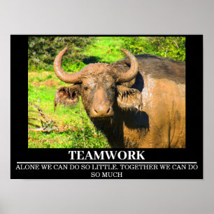Wildlife Motivational Posters Buffalo Teamwork